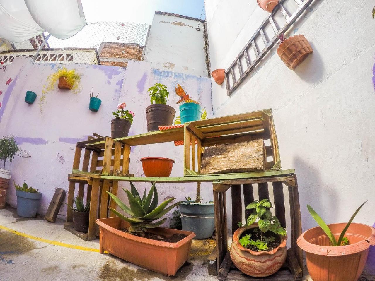 Casa Papa Chango San Cristobal de las Casas Exterior foto